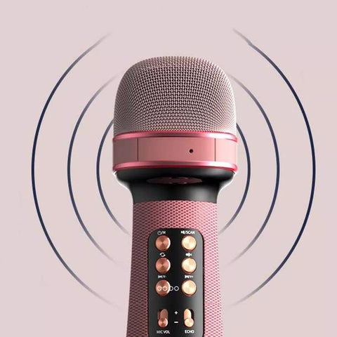 Microfone Karaoke Bluetooth Fm Usb com Caixa de som Rádio Muda a Voz